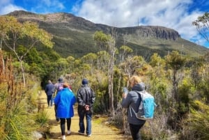 Mt Wellington Ultimate Afternoon Tour