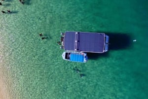 Guldkusten: Snorkling på Wave Break Island
