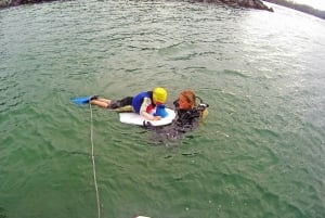 Gold Coast: Snorkelling in Wave Break Island