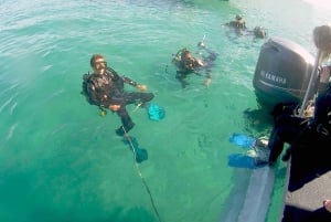 Guldkysten: Snorkling på Wave Break Island