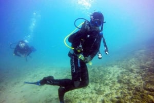 Gold Coast: mergulho com snorkel na ilha Wave Break