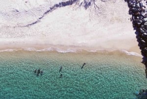 Costa Dorada: Esnórquel en Wave Break Island