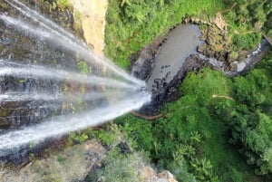 Gold Coast: Natural Arch- und Springbrook-Wasserfall-Tour