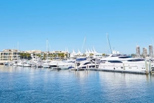 Gold Coast: Sightseeing Cruise with Buffet Lunch