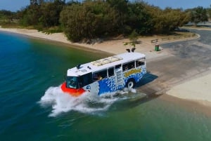 Surfers Paradise : visite guidée en bus amphibie de la Gold Coast