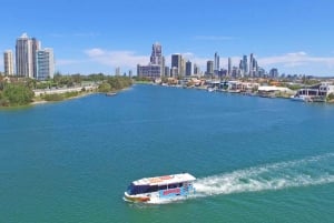 Gold Coast: Aquaduck City Tour og elvecruise