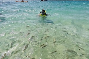 Золотой Берег: экскурсия на каяках и подводном плавании с гидом