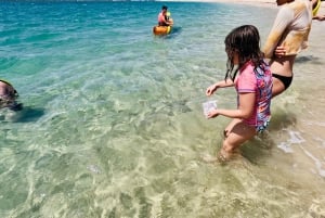 Gold Coast: Guidet tur med kajak og snorkling