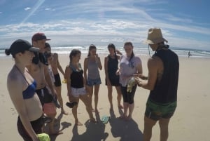 Gold Coast: Kajakkpadling og snorkling med guide