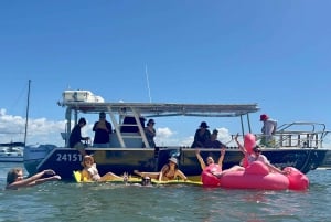 Cruzeiro de Pelicanos de Surfers Paradise para Wavebreak Island + piquenique