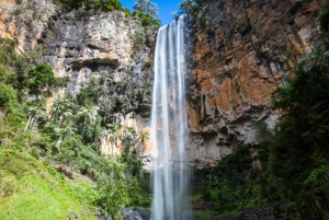 Spring Brook National Park Självguidad biltur