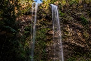 Tour guidato del Parco Nazionale Spring Brook