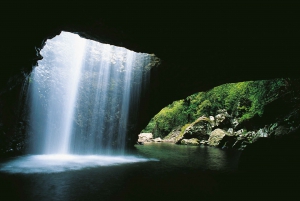 Natural Bridge and Springbrook Afternoon Tour
