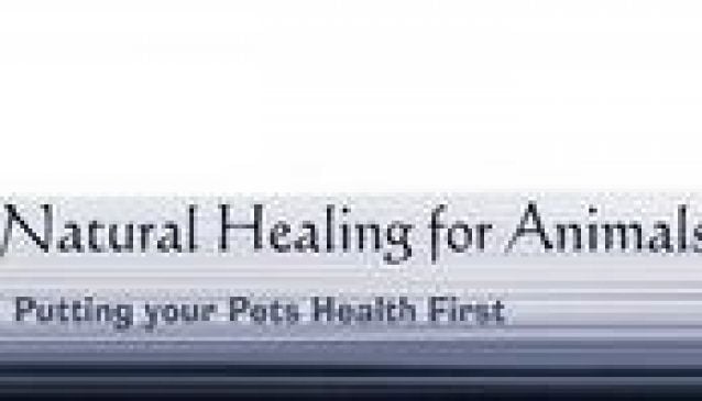 Natural Healing For Animals Alternative Therapy