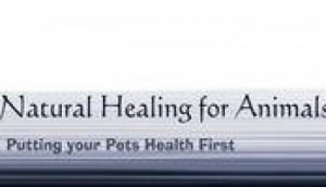 Natural Healing For Animals Alternative Therapy