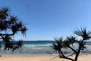 NOOSA : Transfert privé vers/depuis l'aéroport de Sunshine Coast (MCY)