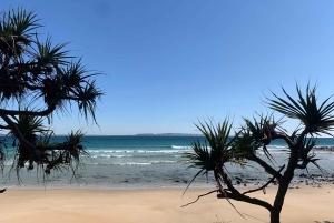 NOOSA: Private Transfer to/fro Sunshine Coast Airport (MCY)