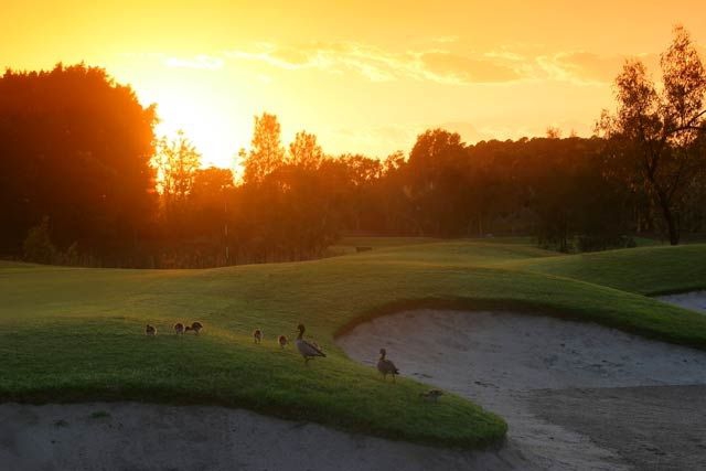 Palmer Gold Coast