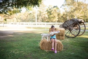 パラダイス カントリー：究極のオーストラリア農場体験