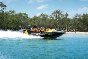 Paradise Jet Boating 55-Minute Broadwater Adventure