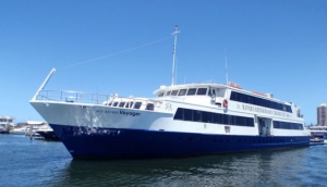 Rivers Cruises