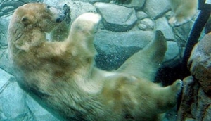 SeaWorld