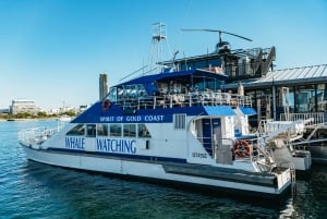 Spirit of Gold Coast 2.5-Hour Whale Watching Tour