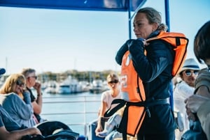 Excursão de 2,5 horas para observação de baleias no Spirit of Gold Coast