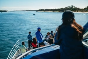 Spirit of Gold Coast 2,5-godzinna wycieczka z obserwacją wielorybów