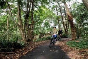 Sunshine Coast: Maleny Magic Guided e-Bike Tour