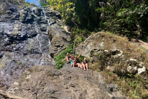 Sunshine Coast: Maleny Village and Kondalilla Falls Tour
