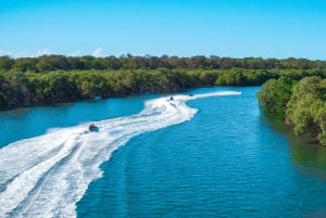Surfers Paradise: tour in moto d'acqua di 30 minuti