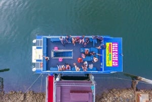 Surfers Paradise y Costa Dorada: Crucero de mediodía por el río