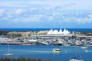 Surfers Paradise: Crociera fluviale pomeridiana della Gold Coast ore 16:00