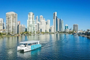 Surfers Paradise: Kreuzfahrt, HOTA-Galerie-Eintritt & Dining Pass