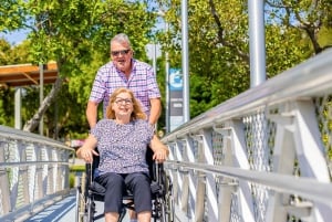 Surfers Paradise: Kreuzfahrt, HOTA-Galerie-Eintritt & Dining Pass