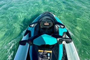 Surfers Paradise: 2 Hour Tropical Island Jet Ski Tour