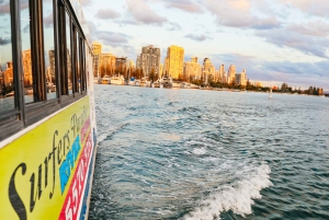 Rejs widokowy Surfers Paradise City Lights Cruise