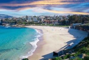 Sydney: dagstur til strender og fyrtårn