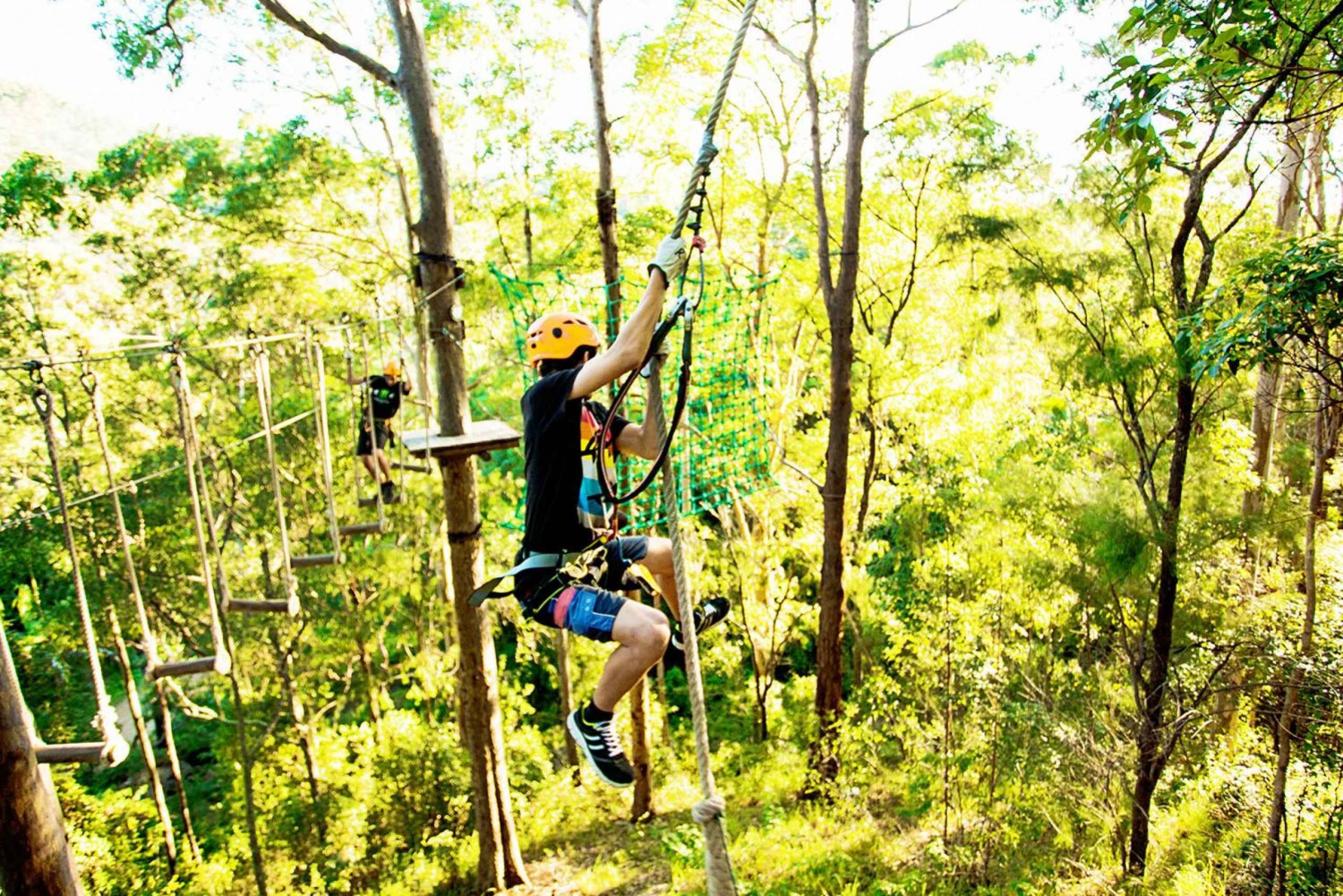 Tamborine Mountain Tree Top Challenge at Adventure Park in Gold Coast