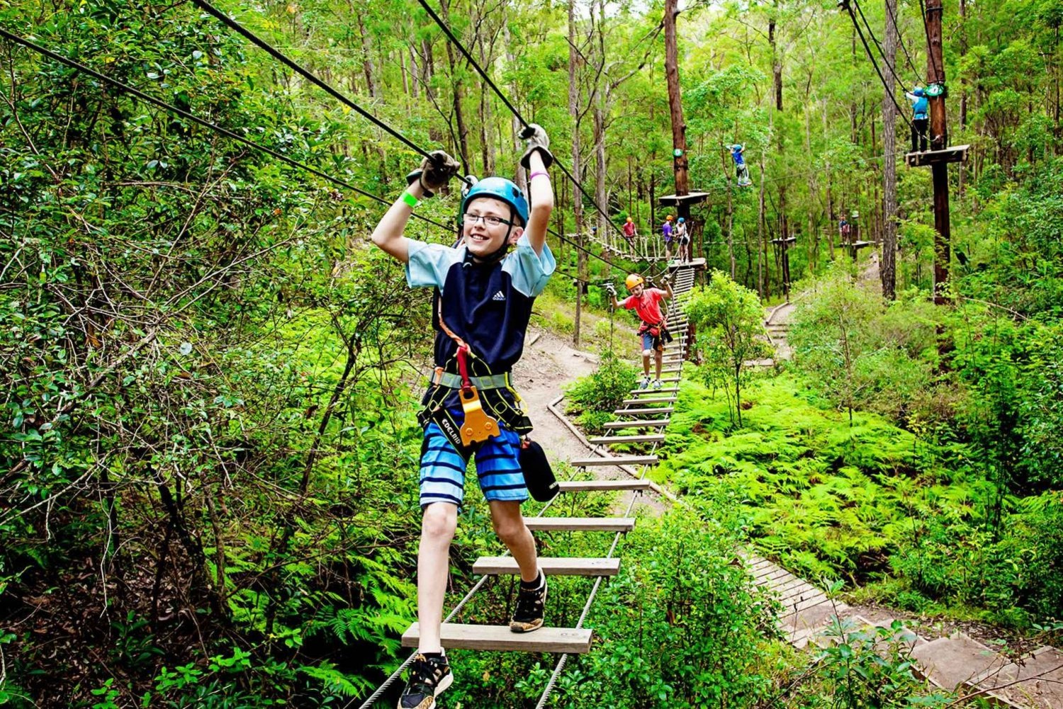 Tamborine Mountain: Tree Top Challenge at Adventure Park in Gold Coast