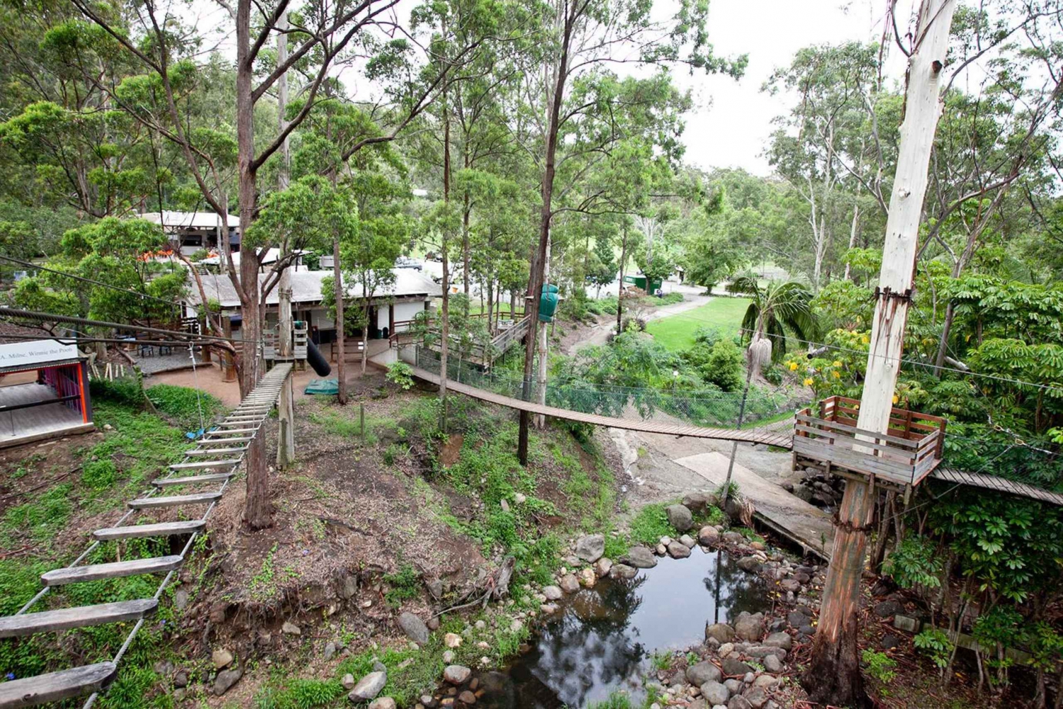 Tamborine Mountain Tree Top Challenge at Adventure Park in Gold Coast