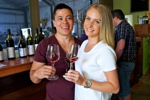 Tamborine Mountain: Wine Tasting Tour with 2-Course Lunch