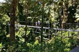 Tamborine Rainforest Skywalk