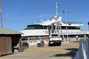 TANGALOOMA TRANSBORDADOR DE HOLT ST WHARF A GOLD COAST