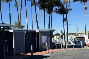 TANGALOOMA TRANSBORDADOR DE HOLT ST WHARF A GOLD COAST