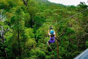 TreeTop Challenge: Canyon Flyer Guided Zipline Tour