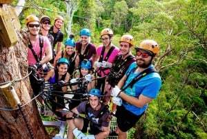TreeTop Challenge: Canyon Flyer Guided Zipline Tour