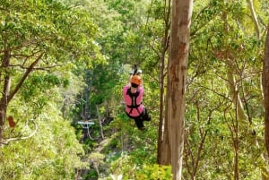 TreeTop Challenge: Canyon Flyer Guided Zipline Tour