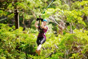 TreeTop Challenge Tamborine Mountain Guided Zipline Tour